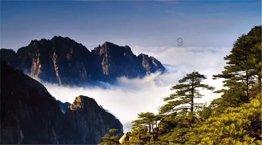 再读卡夫卡的《乡村医生》：专制社会中，个体的孤独、渺小和无力