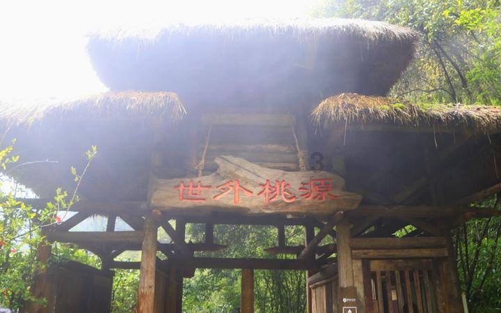 镜之边缘