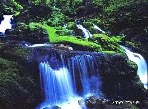 为群众安全健身保驾护航!苏州工业园区娄葑街道健身设备换新颜,助力居住品质大提升