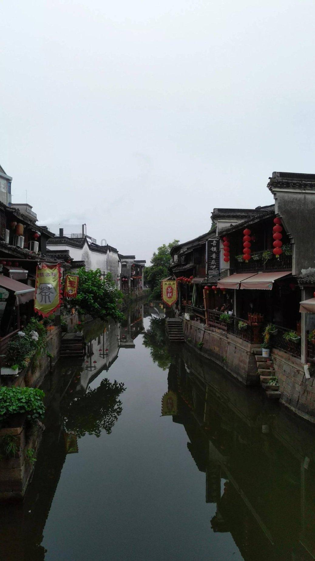 救援小袋熊